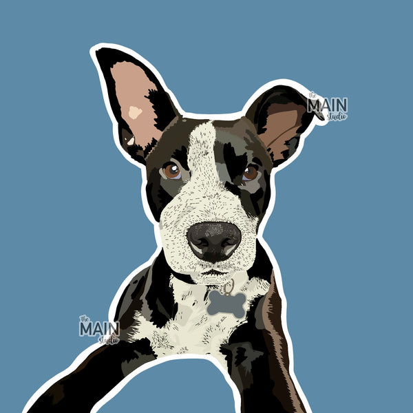 Custom Pet Portraits